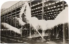 Franz Roh, Untitled, circa 1925, Gelatin silver print