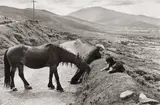 Tralee, Ireland by Henri Cartier-Bresson, 1963, Gelatin silver print, printed 1984, sold Apr 2026