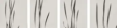 Harry Callahan, Cattails Against the Sky, 1948, A suite of four gelatin silver prints, probably printed later