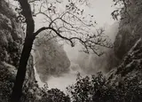 Sebastião Salgado, Victoria Falls with Tree, Zimbabwe, 2008, Gelatin silver print
