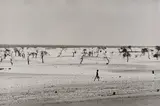 Sebastião Salgado, Site of the Now Dried Lake Faguibine, Mali