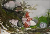 Ida O'Keeffe, Sea-Shells, 1927, oil on canvas mounted to board