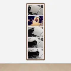 The Line of Fate by Tacita Dean, 2011, 1 chromogenic print and 4 gelatin silver prints, sold Feb 2025