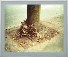 Jeff Wall, Clipped Branches, E. Cordova St., Vancouver, 1999, transparency in lightbox