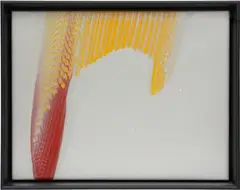 Tauba Auerbach, Extended Object, 2019, acrylic on canvas, in artist's frame