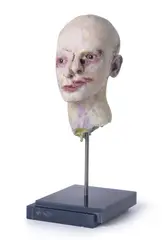 David Altmejd, Vampire, 2017, polyurethane foam, epoxy clay, epoxy gel, epoxy resin, quartz, steel, glass eyes, glass paint, acrylic gel and pencil
