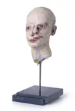 David Altmejd, Vampire, 2017, polyurethane foam, epoxy clay, epoxy gel, epoxy resin, quartz, steel, glass eyes, glass paint, acrylic gel and pencil