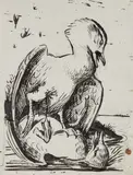 Walton Ford, Untitled (two birds), 2020, ink and pencil on paper