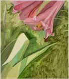 Lois Dodd, Red Lily + Iris Leaves