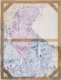 Channing Hansen, ALGO 54 1.2.1, 2014, hand spun and dyed wool, holographic polymers, silk and cedar