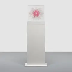 E.V. Day, Waterlily Transporter, Six Stages (pink), 2014, laser etched, hand-tinted Plexiglas, in 6 sections, with artist's base