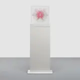 E.V. Day, Waterlily Transporter, Six Stages (pink), 2014, laser etched, hand-tinted Plexiglas, in 6 sections, with artist's base