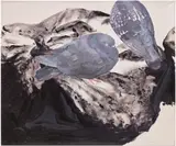 Jenna Gribbon, Cold Nest