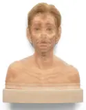 Evan Penny, No One - in Particular Tri-X, 2003, silicone, pigment and human hair on wood support
