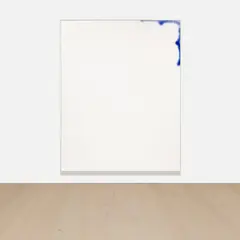 David Ostrowski, F (A thing is a thing in a whole which it's not), 2013, acrylic and lacquer on canvas, in artist's frame