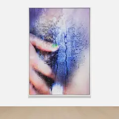 Marilyn Minter, Plush #24, 2014, chromogenic print, Diasec mounted