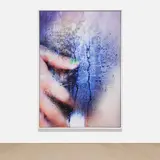 Marilyn Minter, Plush #24, 2014, chromogenic print, Diasec mounted