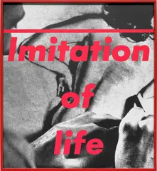 Barbara Kruger, Untitled (Imitation of Life), 1988, gelatin silver print, in artist's frame