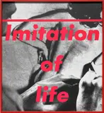 Barbara Kruger, Untitled (Imitation of Life)