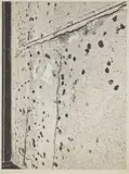 Adam McEwen, Untitled, 2013, inkjet print on cellulose sponge, mounted to aluminum