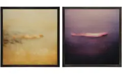 Two Works: (i) One-Person Game Against Nature #3 ; (ii) One-Person Game Against Nature #6 by Michal Rovner, 1992–1993, chromogenic print, sold Feb 2025