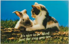 Sam Durant, Untitled (self help), 1992, color photograph