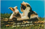 Sam Durant, Untitled (self help), 1992, color photograph