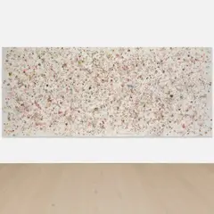 Dan Colen, Psychotic Reaction, 2011, flowers and gesso on canvas