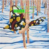 Jamian Juliano-Villani, Totally Home