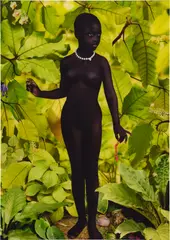 Ruud van Empel, Venus #1, 2006, cibachrome print, dibond, plexiglas