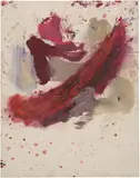 Martha Jungwirth, Fruchtfleisch 1