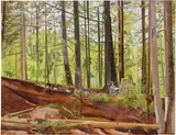 Lois Dodd, Eleanor Painting