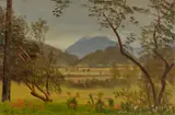 Albert Bierstadt, Napa Valley, California, 1871–1880, oil on paper mounted to board