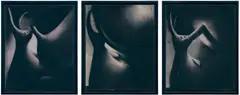 Lisa Yuskavage, The Black Bunny Series: Tit Love, Ass Love, Fellatial Love, 1995, charcoal on paper, in 3 parts