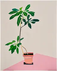 Guy Yanai, Swiss Plant near corner, 2023, oil on canvas