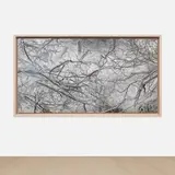 Richard Misrach, Untitled (364030#FC)
