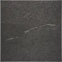 Giuseppe Penone, Pelle di grafite - riflesso di quarzo, 2008, graphite on black canvas