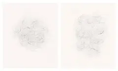 Mona Hatoum, Hair and there, 2004, Etching diptych, on two sheets of wove paper, with full margins