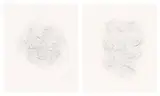 Mona Hatoum, Hair and there, 2004, Etching diptych, on two sheets of wove paper, with full margins