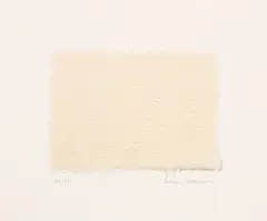 Mona Hatoum, Untitled (brain), 2003, Pressed handmade paper, mounted to card (as issued)