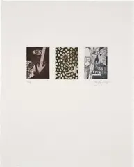 Untitled (U.L.A.E. 217) by Jasper Johns, 1981, Etching and aquatint in colors, on Rives BFK paper, with full margins, offered Feb 2025