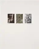 Jasper Johns, Untitled (U.L.A.E. 217), 1981, Etching and aquatint in colors, on Rives BFK paper, with full margins