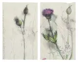 Jim Dine, Thistles, 1975, Unique graphite, charcoal and watercolor drawing diptych, on two sheets of wove paper