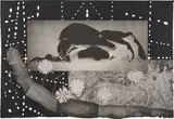 Kiki Smith, Worm (W. 64)