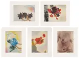 Kiki Smith, Puppetry