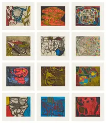 Terry Winters, Models for Synthetic Pictures (S. 97-108), 1994, The complete set of 12 etching and aquatints in colors, on Gampi Chine collé to Lana Gravure paper, with full margins, accompanied by the original folder with text, title page and colophon, all loose (as issued), all contained in the original dark blue, linen-covered paperboard portfolio