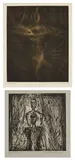 Susan Rothenberg, Yellow Spinner; and Alius (M. 34), 1987-88, One mezzotint in colors, on Richard de Bas paper, and one etching and aquatint, on Kitakata Chine collé to Moriki paper, with full margins