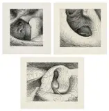 Henry Moore, Elephant Skull: three plates (C. 115, 117 & 121), 1969, Three etchings, on handmade Rives BFK paper with the artist's watermark, with full margins