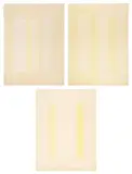 Richard Anuszkiewicz, Sun Coast, 1972-73, Lithograph triptych in colors, on three sheets of Arches Buff paper, with full margins