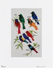 Fred Tomaselli, Greater Pewee, Olive-Sided Flycatcher, Eastern Wood-Pewee, Western Wood Pewee, 2004, Inkjet print in colors, on smooth wove paper, with full margins